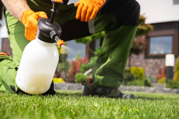 Best Emergency Pest Control  in Rice, MN