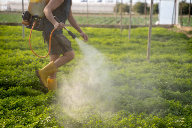 Best Wildlife Control Services  in Rice, MN