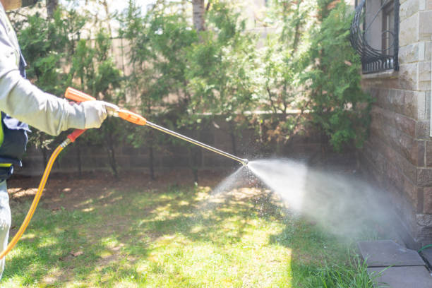 Best Commercial Pest Control Services  in Rice, MN