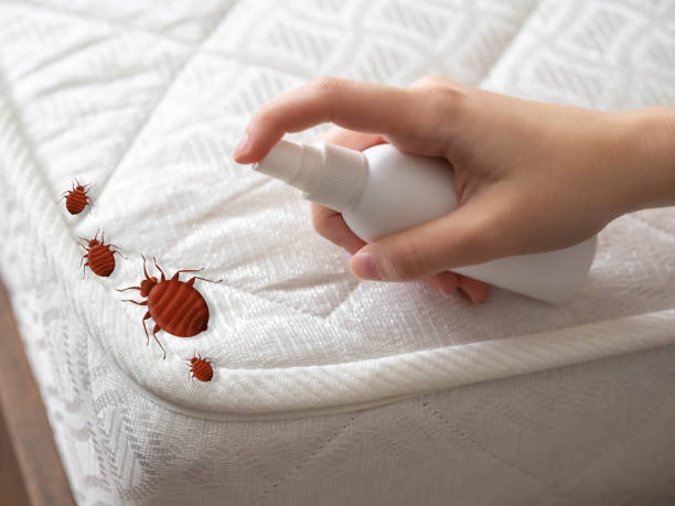 Best Mosquito Control Services  in Rice, MN