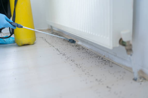 Best Wildlife Control Services  in Rice, MN
